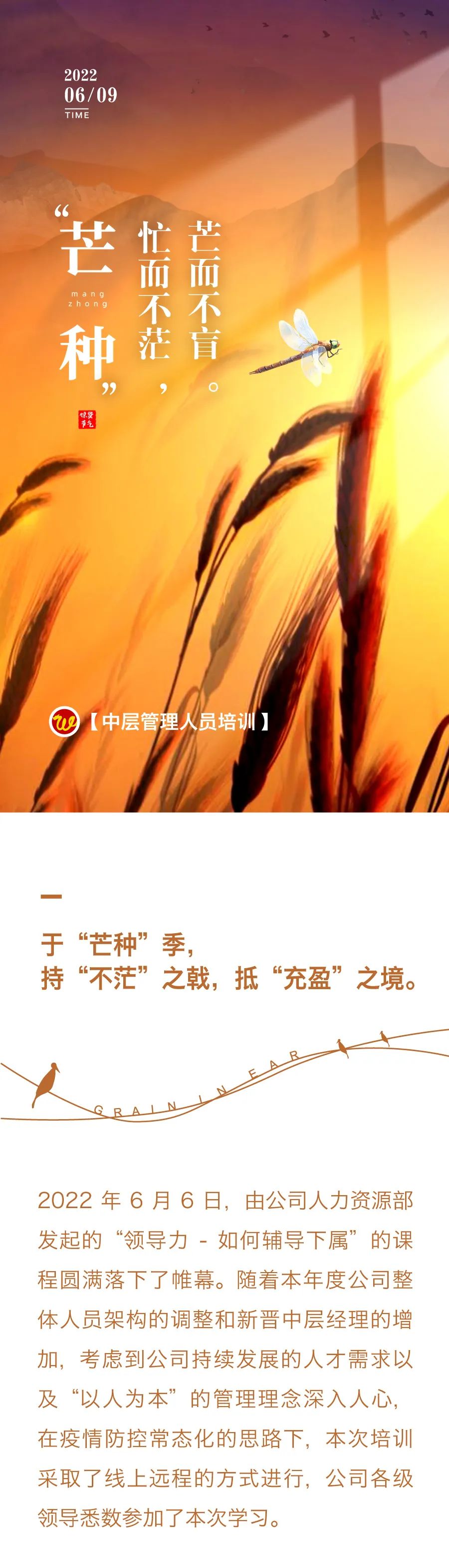 “芒種”忙而不茫，芒而不盲。——中層管理人員培訓(xùn)1.jpg